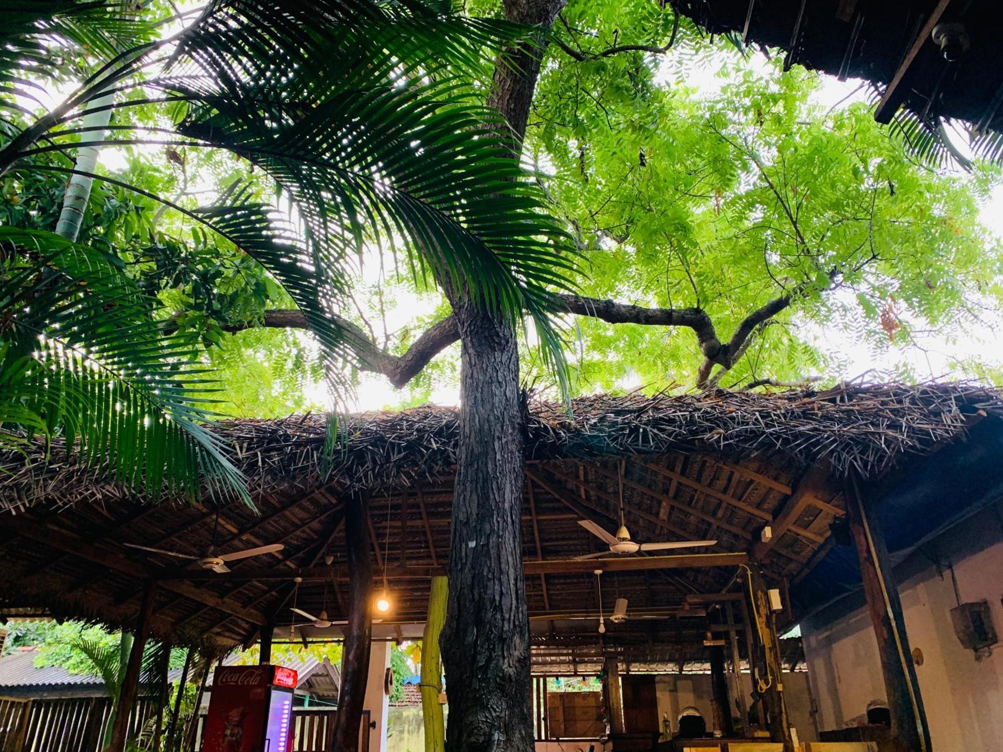 Villa The Woodnest Arugam Bay Exterior foto